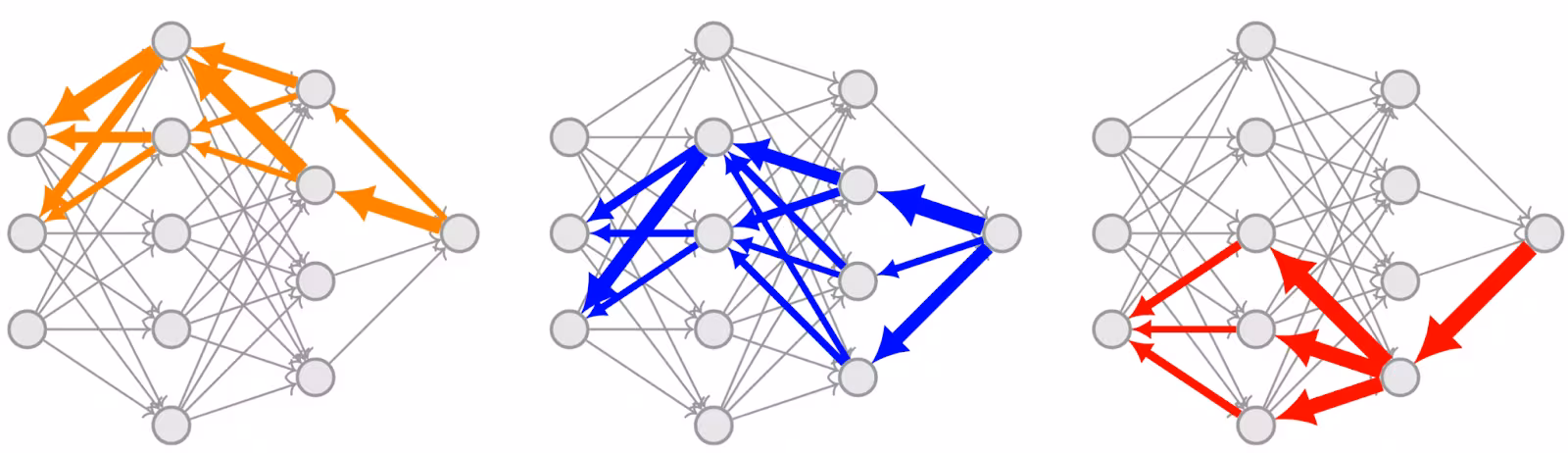 Three neural network backwards passes, each of which highlights a different gradient mask.