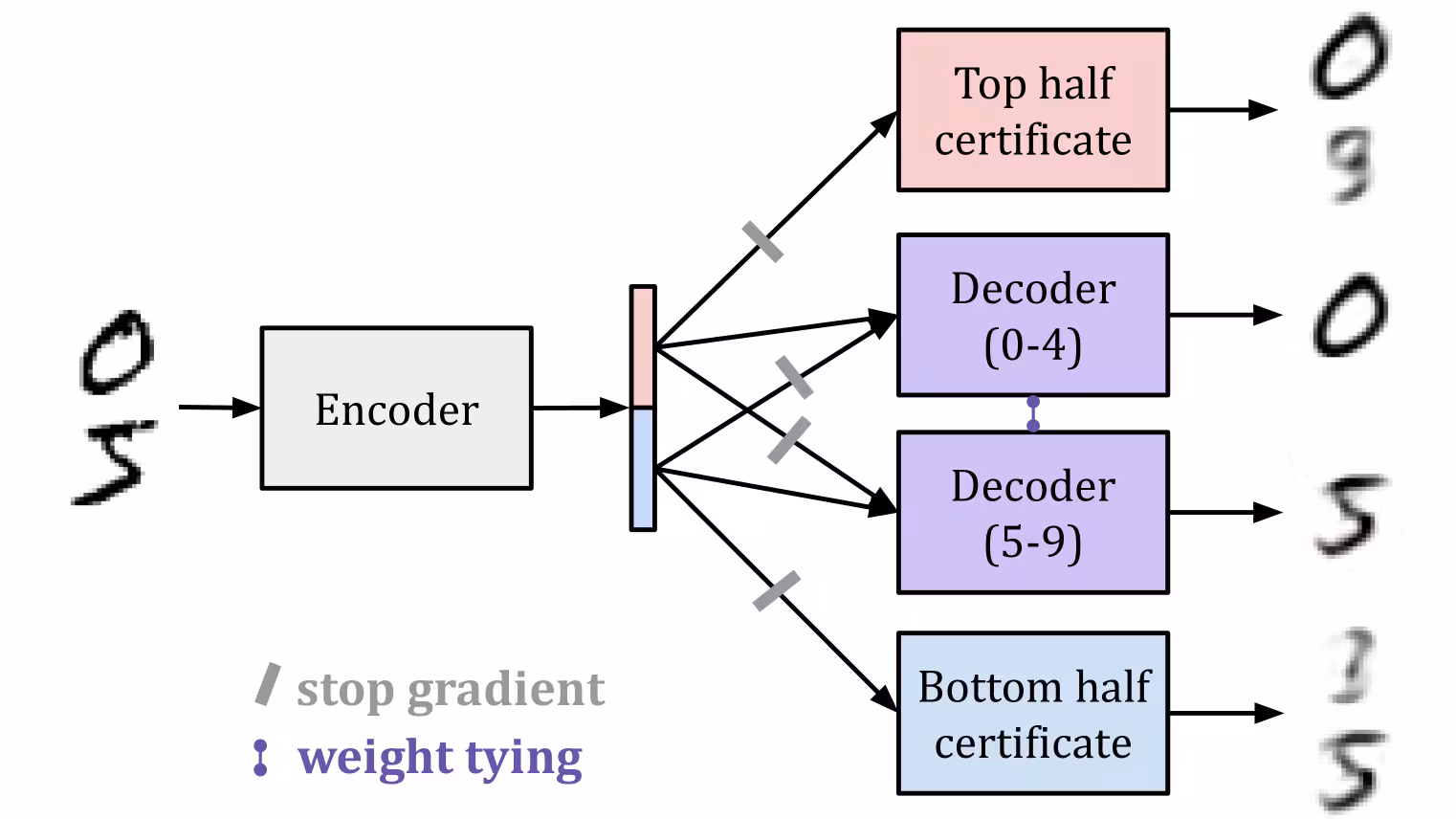 A diagram of an autoencoder using gradient routing to split a latent space. Handwritten digits enter an Encoder, producing a latent vector split into a top half and a bottom half. Stop-gradient masks route the top half only to a "Decoder (0-4)" and a "Top half certificate". The bottom half is routed only to a "Decoder (5-9)" and a "Bottom half certificate". The two decoders have tied weights. The certificates only take the top or bottom half, and cannot be trained to successfully decode the other range of digits.