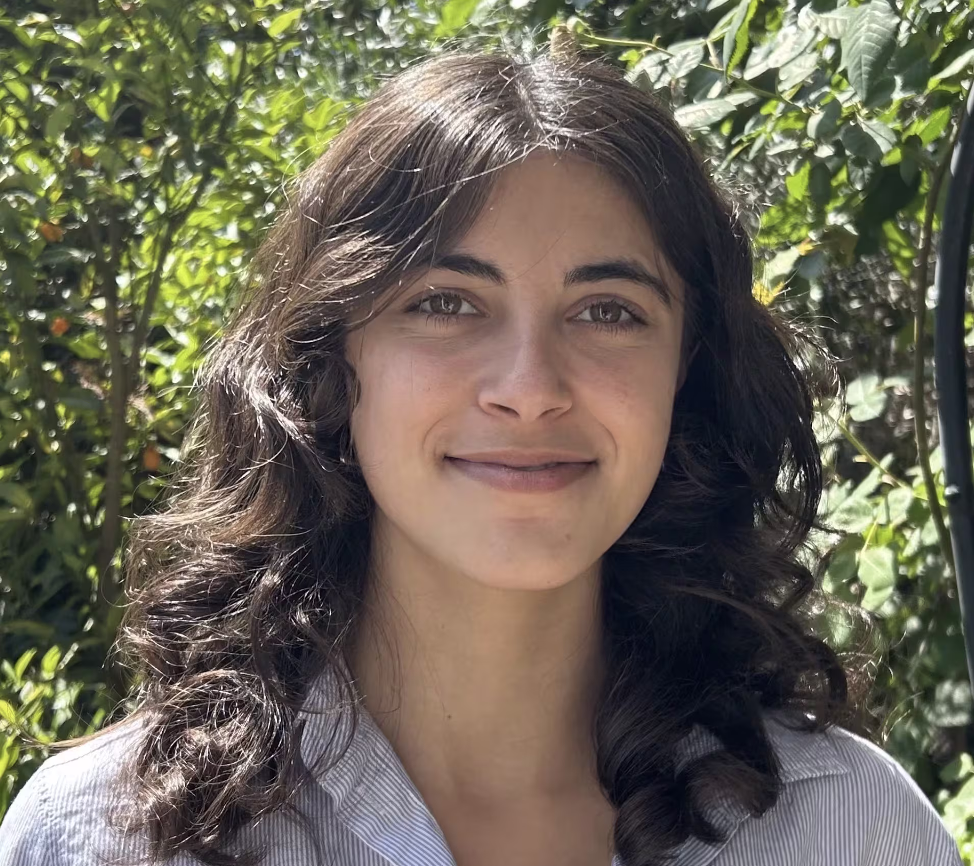 Ariana Azarbal smiling gently in a striped shirt, standing in front of a sunlit tree with green leaves and small orange fruit.